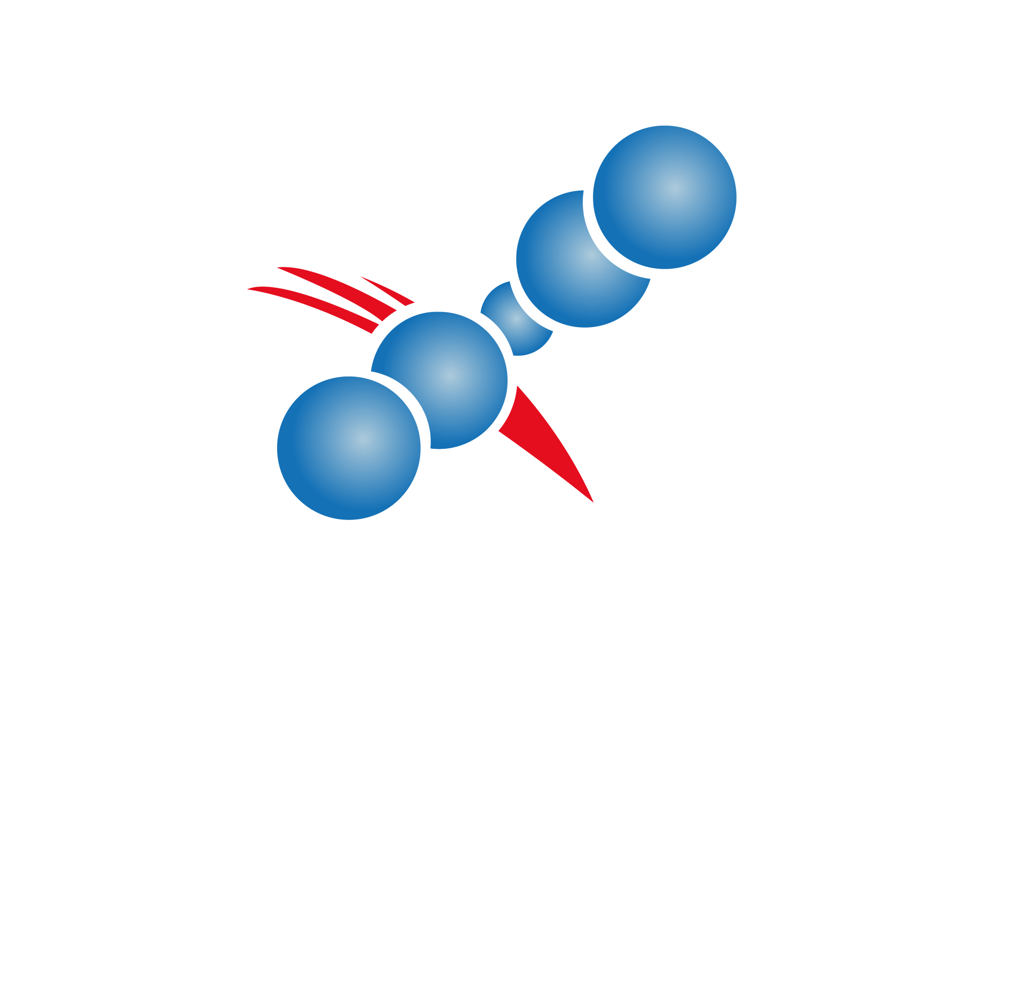 ANDES – Asociación Nacional para el Desarrollo Social