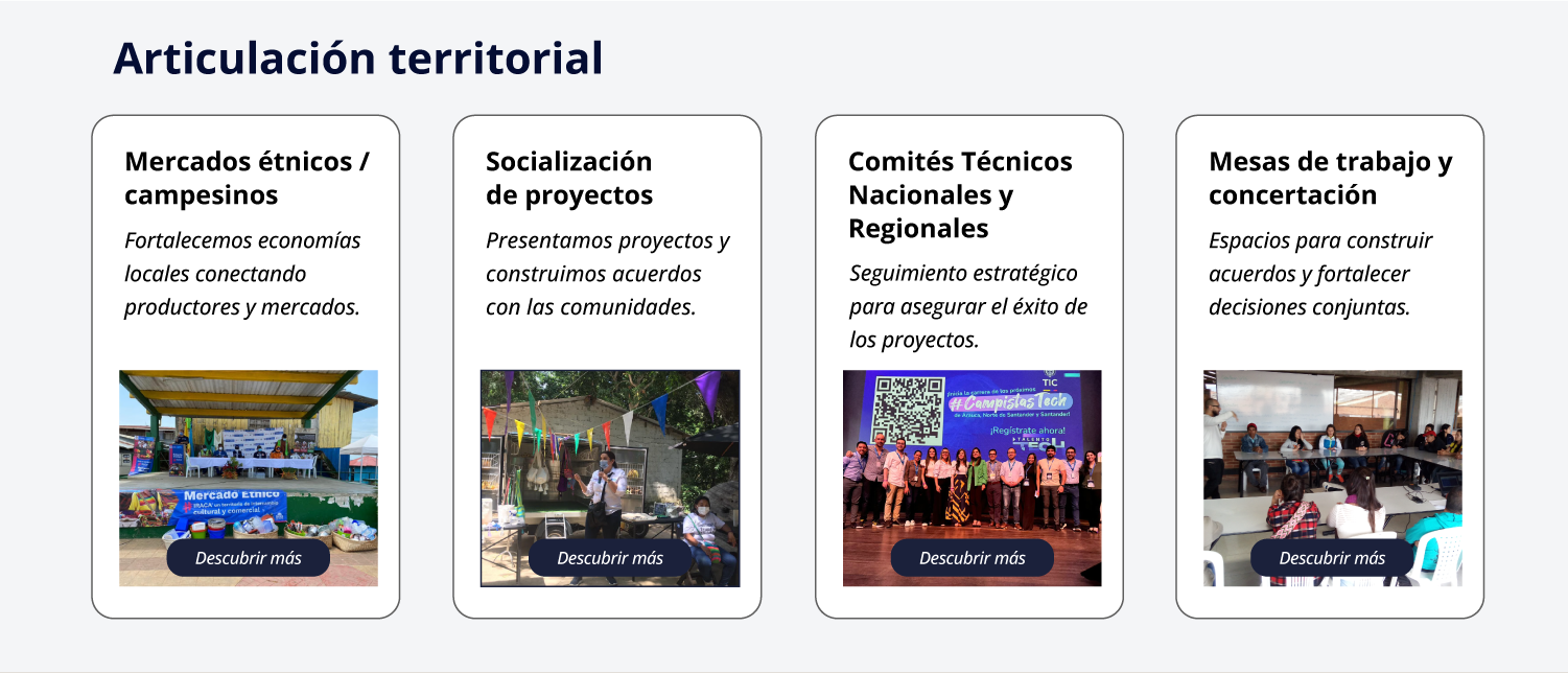 Articulación territorial