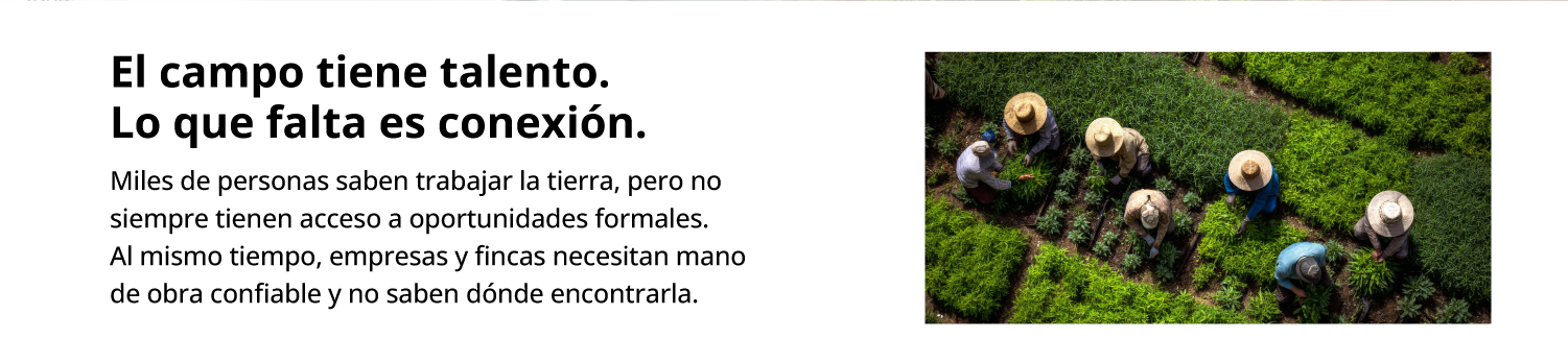 AgroConecta ANDES