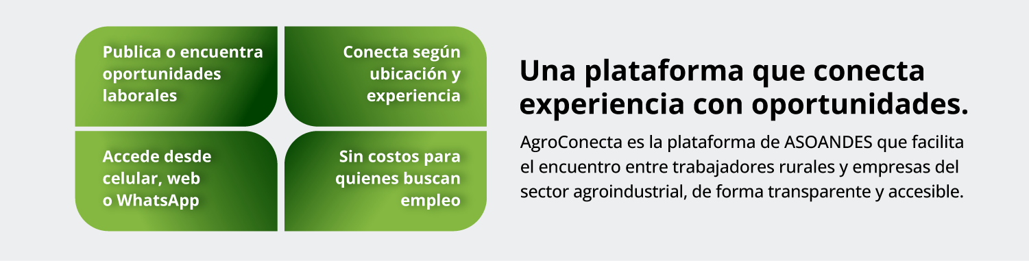 AgroConecta ANDES