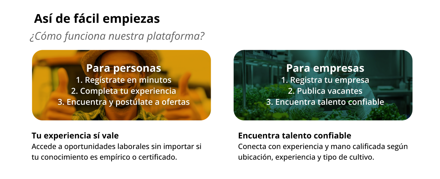AgroConecta ANDES