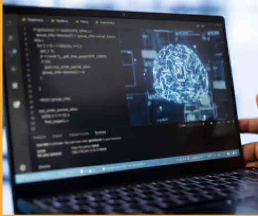 Desarrollo de Software a la medida