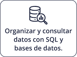 Organizar y consultar datos con SQL y bases de datos.