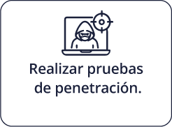 Realizar pruebas de penetración.