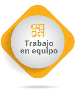 Trabajo en equipo